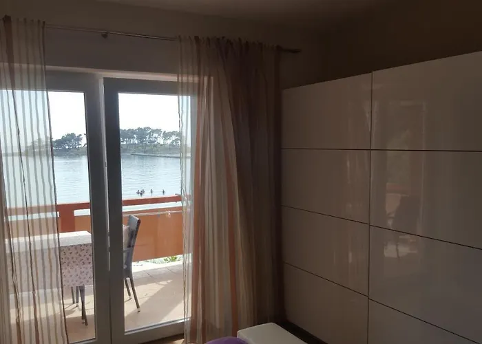 Banjol 441 Mare 라브